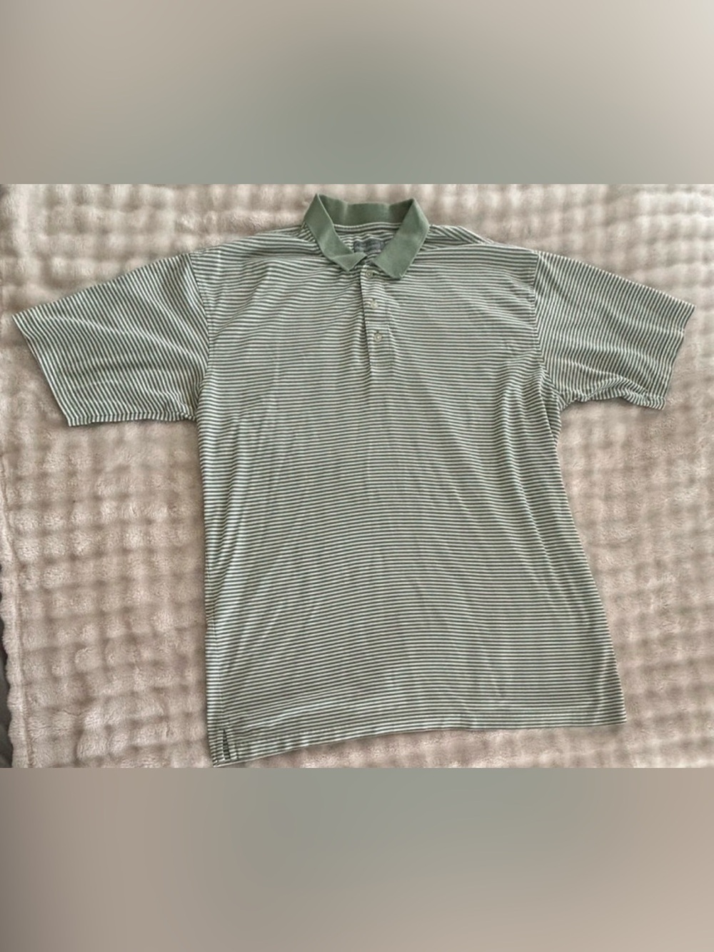 Allen Flusser Men’s Light Green Striped Polo